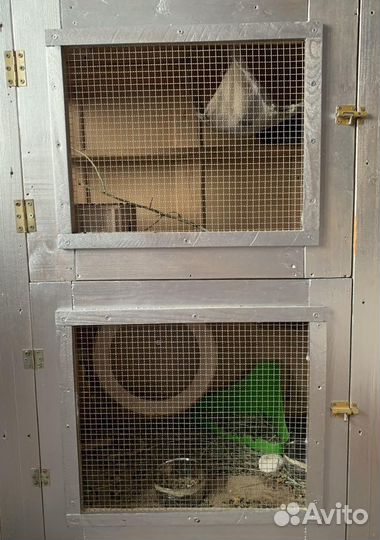 Клетка для грызунов большая