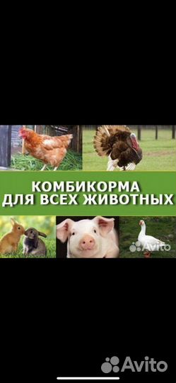 Комбикорм для животных и птиц