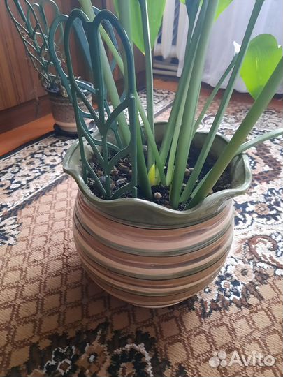 Керамические горшок для цветов