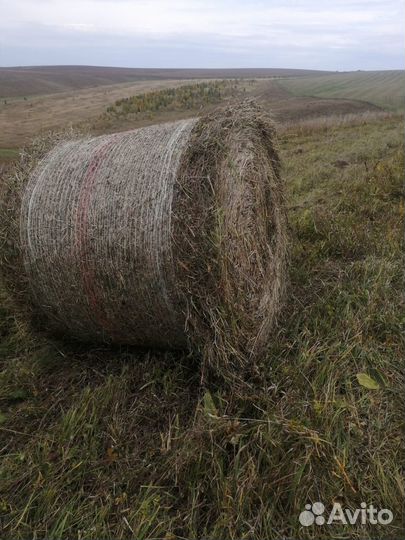 Продам сено в тюках