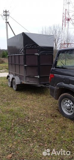 Перевозка скота