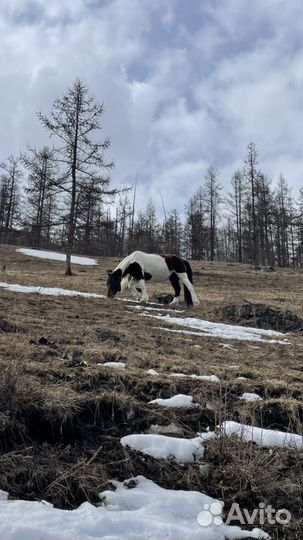 Тур в долину вулканов