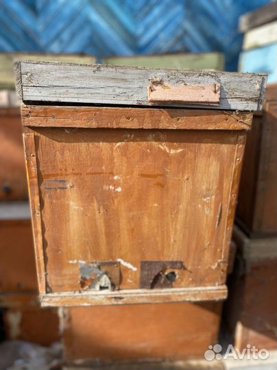 Пакеты для пчел