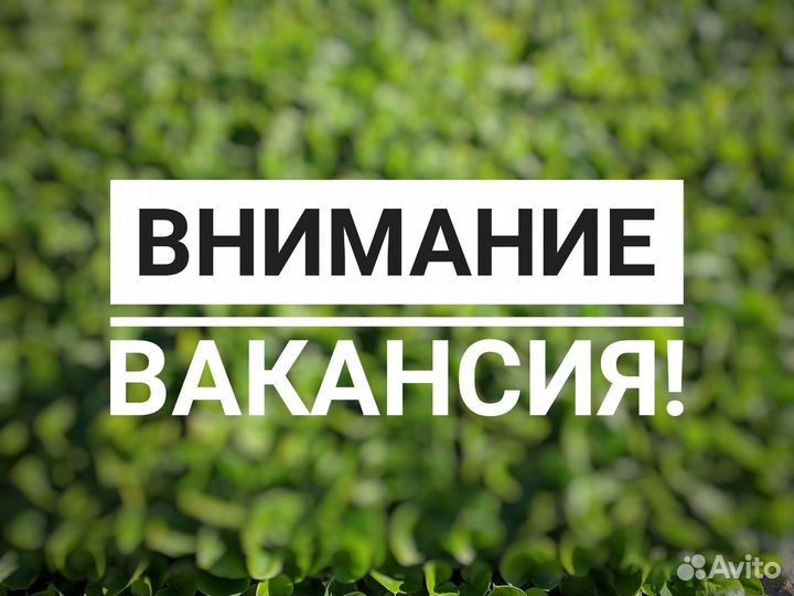 Упаковка/погрузка мясной цех Вахта Брянская обл