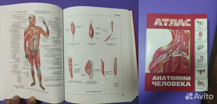 Книги по медицине