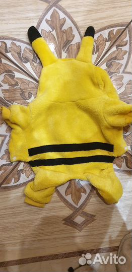 Одежда для маленькой собачки