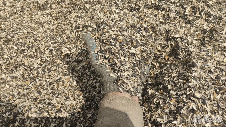 Лузга подсолнечника