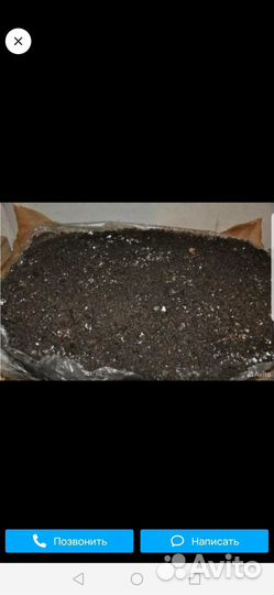 Грибные отработанные блоки