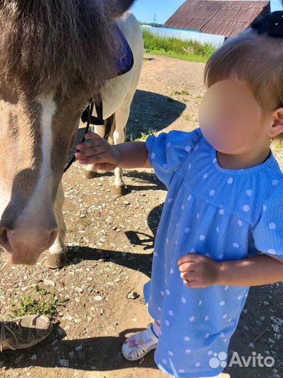 Платье для девочки 104