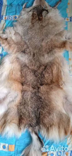 Шкура волка большая