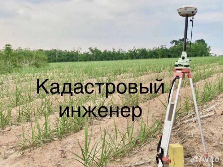 Межевание