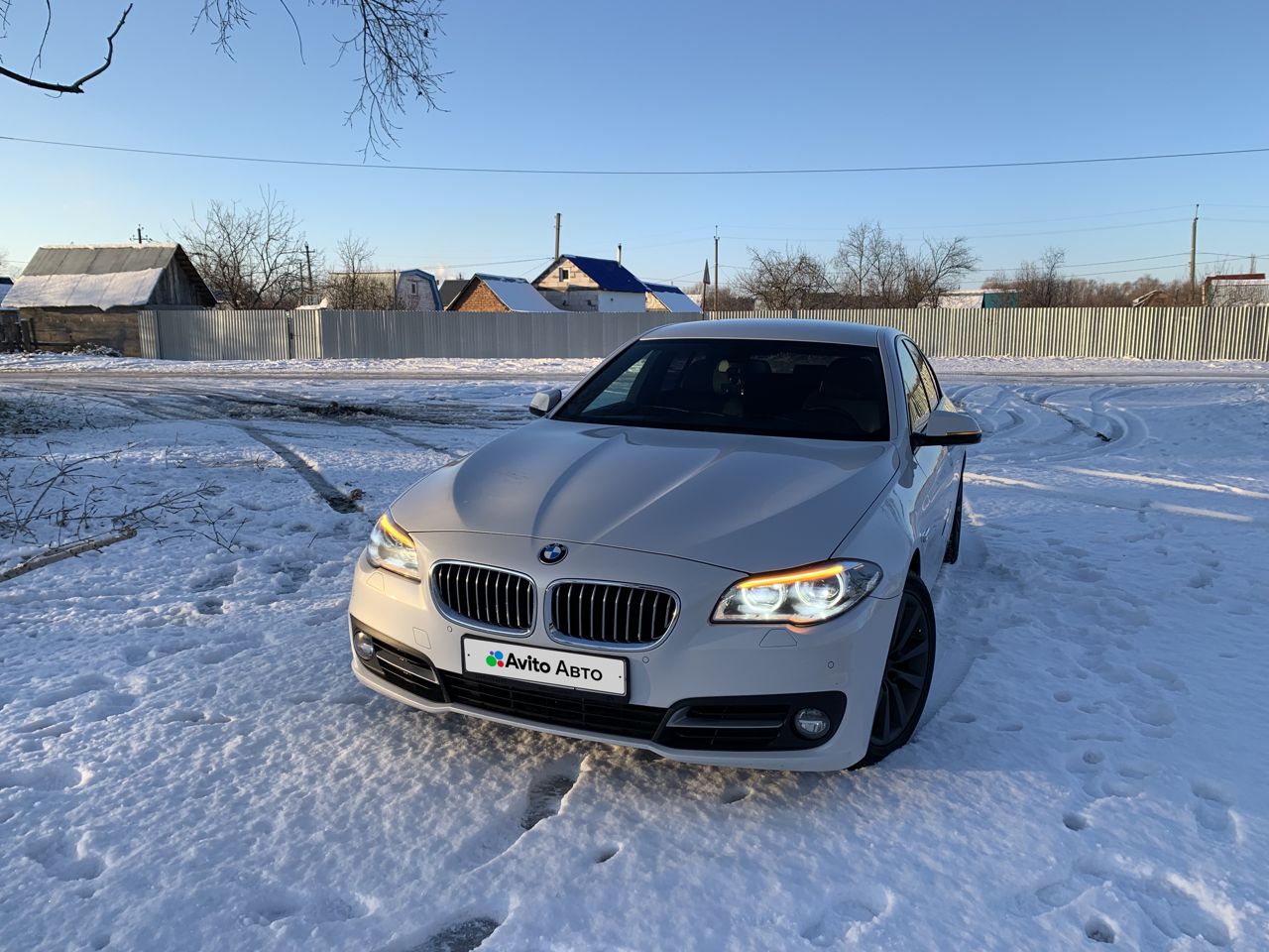 BMW 5 серия: фото владельца