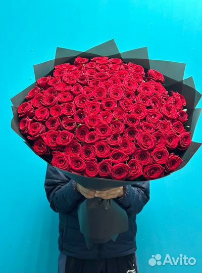 101 роза 51 31 25 роза цветы доставка