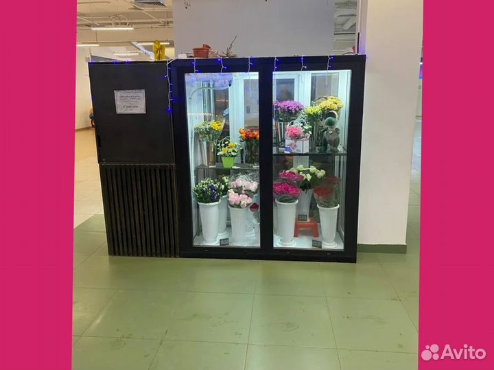 Холодильная Камера Для Цветов / Цветочная Камера