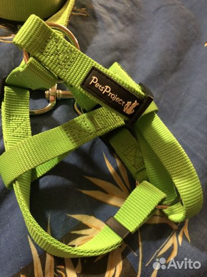 Поводок.Израиль.Новый. Pet Project. Мощный.S