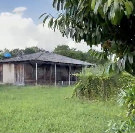 Участок 40000 м² (Абхазия)