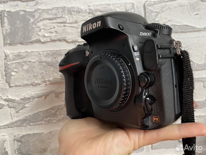 Nikon D800 body