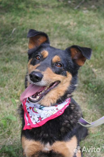 Мальчик Чарли подарить шанс на счастливую жизнь