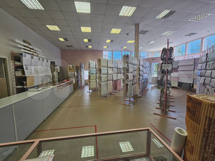 Свободного назначения, 256 м²