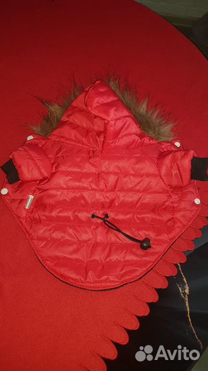 Куртка для собак мелких пород