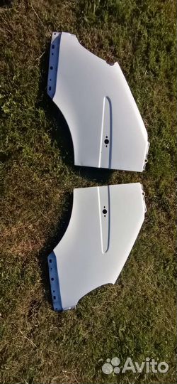 Крылья на газель