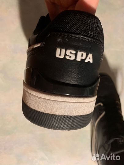 Us polo assn кроссовки мужские