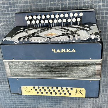 Шуйская гармонь чайка