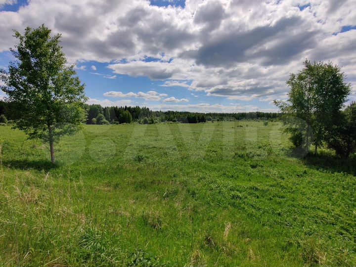 Участок 55,4 га (СНТ, ДНП)