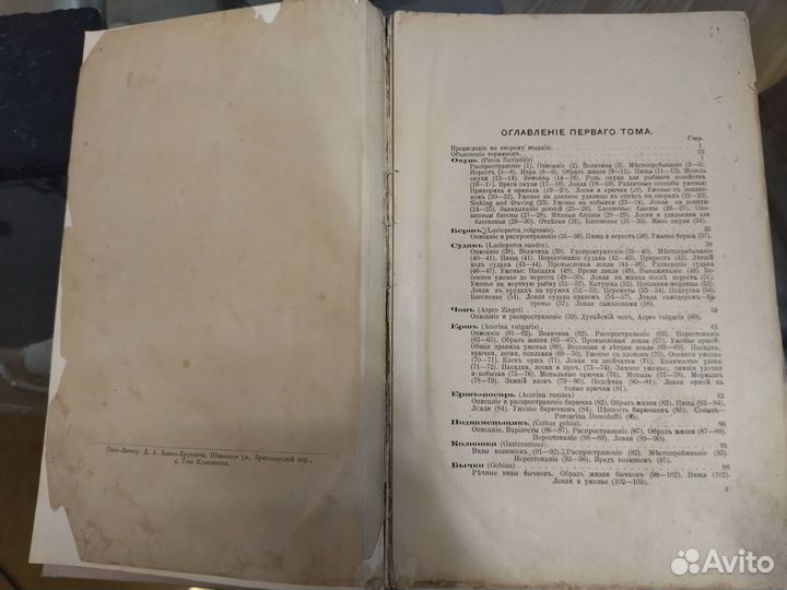 Cабaнеев, Л.П. Pыбы России. 2 тома 1892 год