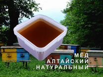 Мед натуральный из Алтая оптом