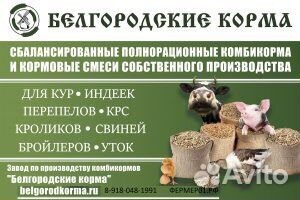 Белгородский комбикорм для с/х животных