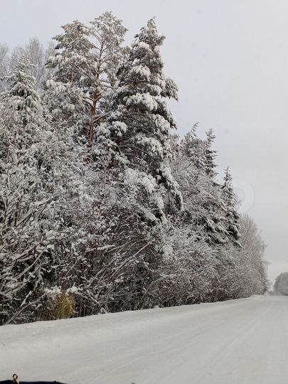 Участок 11,5 сот. (ИЖС)