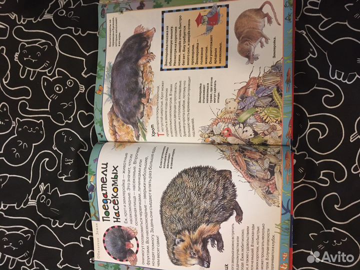 Энциклопедии