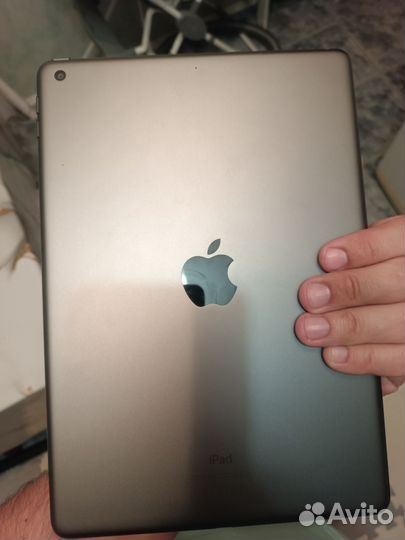 iPad