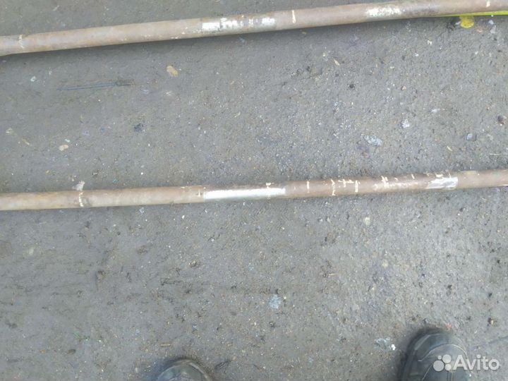 Гриф олимпийский, СССР