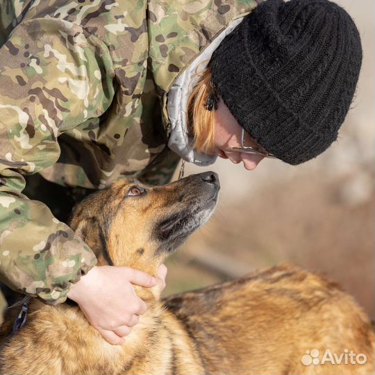Собака в добрые руки,Щербет