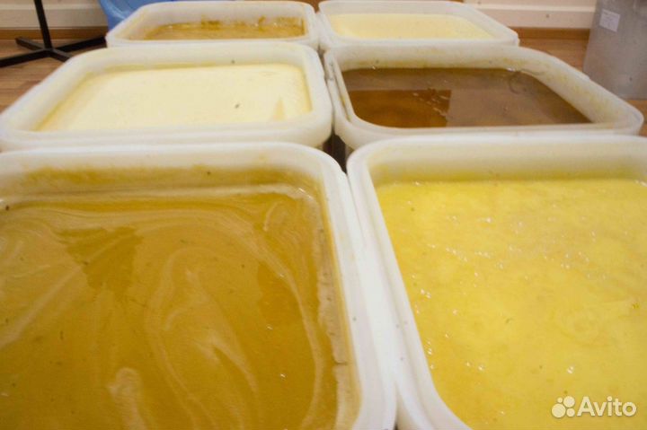 Мёд натуральный алтайский опт