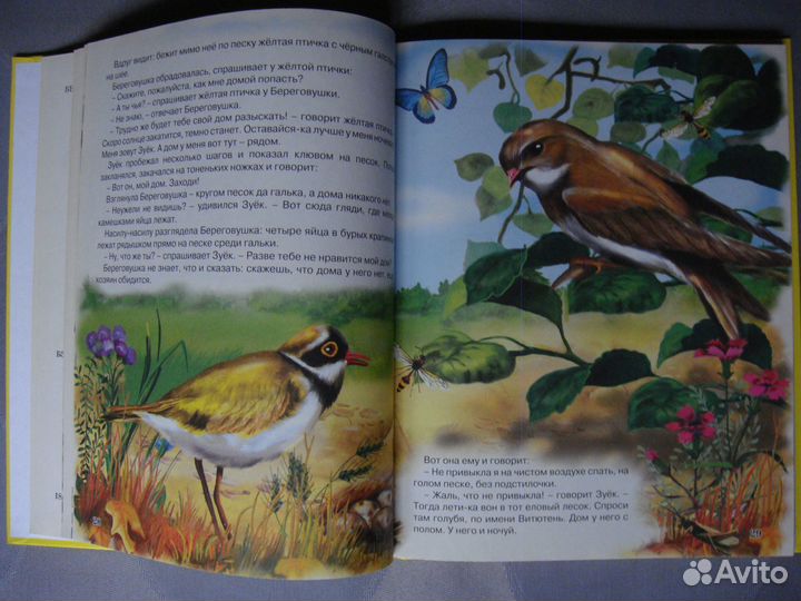 Детские книги для дошколят о животных