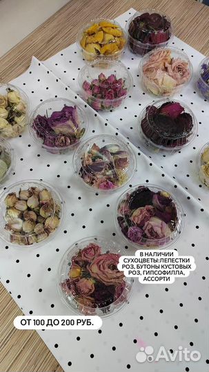 Сухоцветы для творчества