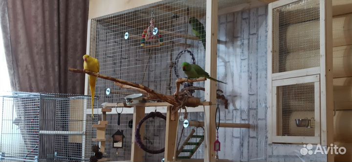Вольер для попугая