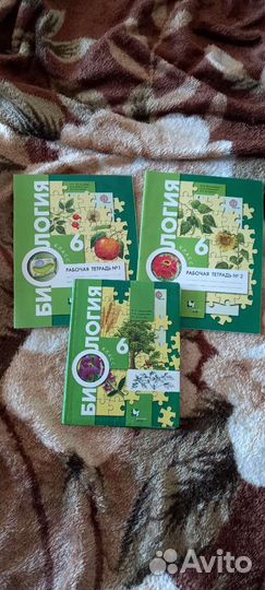 Учебники за 4-5-6 классы