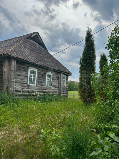 Участок 40 сот. (ИЖС)