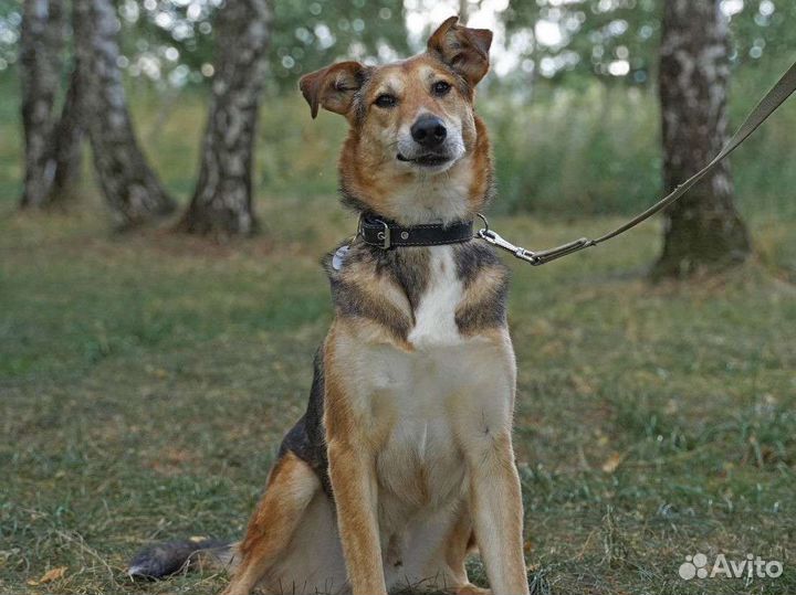 Патрика никто не замечает