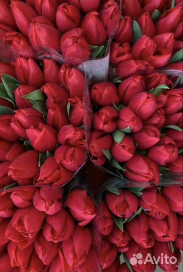 Тюльпаны мускарики к 9 мая цветы с доставкой