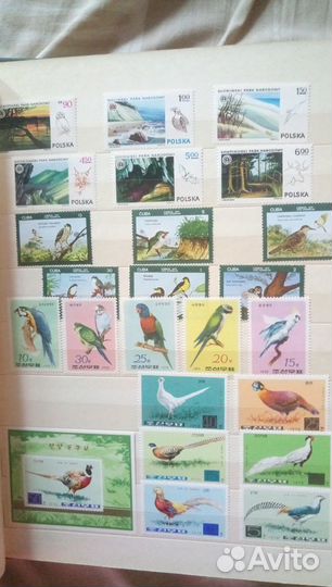 Марки Фауна Зарубежные 1964-1977г