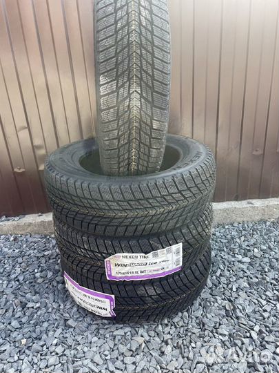 Nexen Winguard Ice Plus 175/65 R14