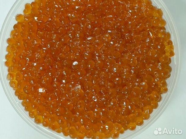 Красная икра 2024