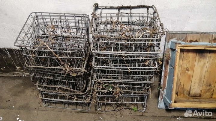 2 семьи улья с рамками