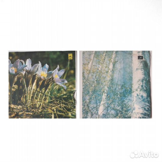 Танцевальная музыка;танго и чарльстон