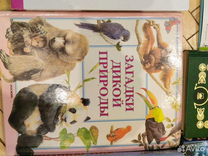 Книги развивающие для детей и подростков